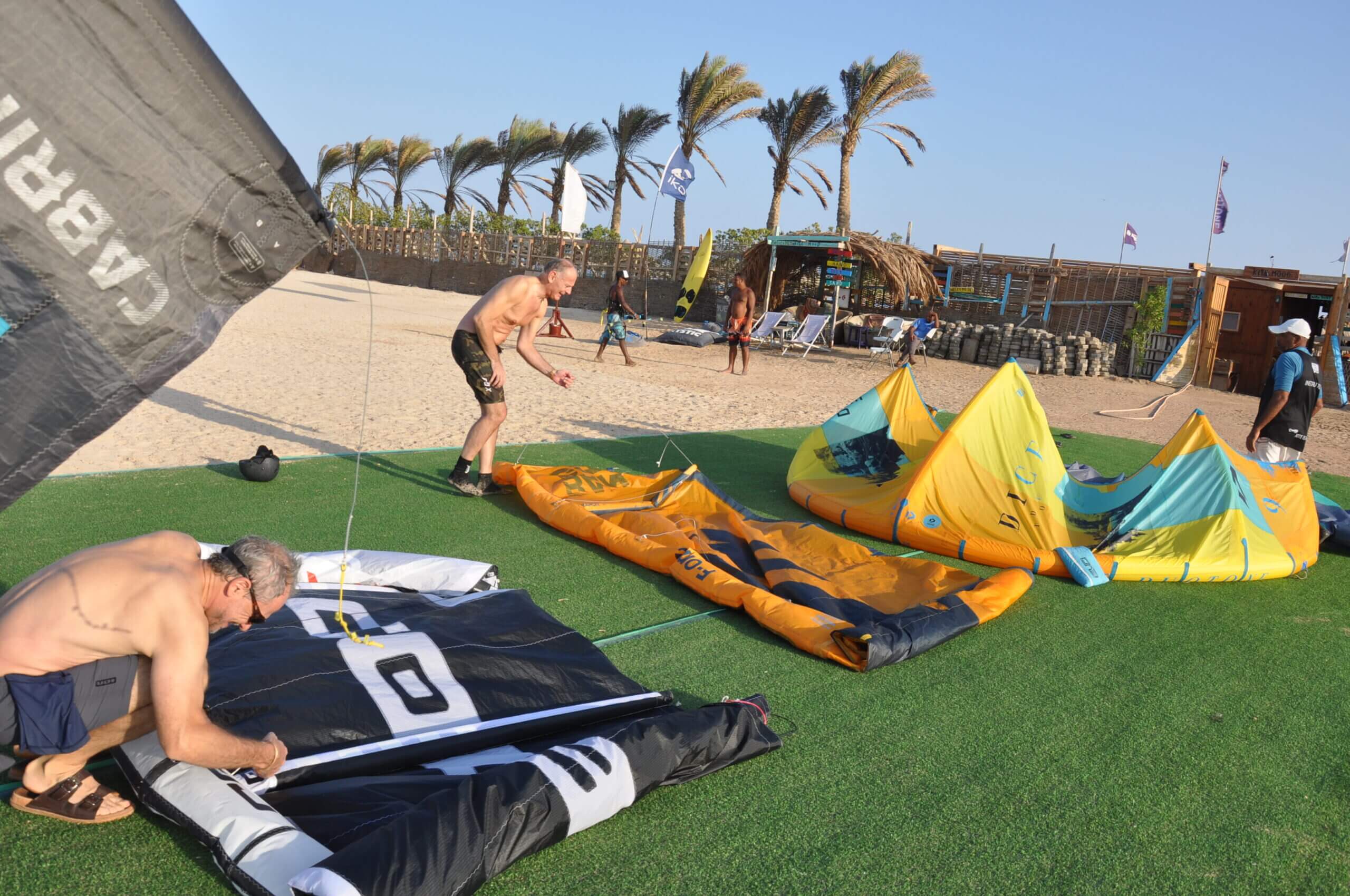 Kites prepared beside the palm trees at KiteMood