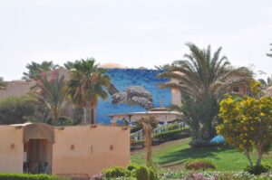 Sea view framed by palm trees at the lagoon resort