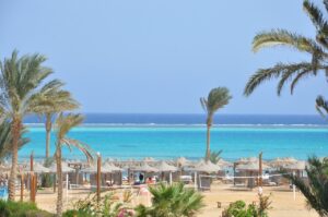 Turquoise sea beyond a sandy beach and palm trees