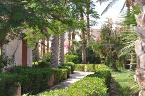 Tree-lined path beside the resort rooms