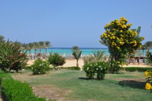 Beach umbrellas beside the turquoise lagoon
