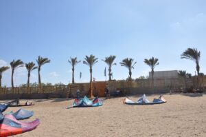 Palm-lined shore beneath a clear blue sky